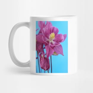 Aquilegia  Columbine Mug